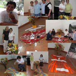 My Experience Of The Peru Regional Assembly January 2010
