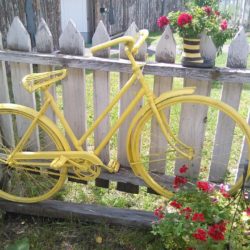 A Tale Of Two Yellow Bicycles