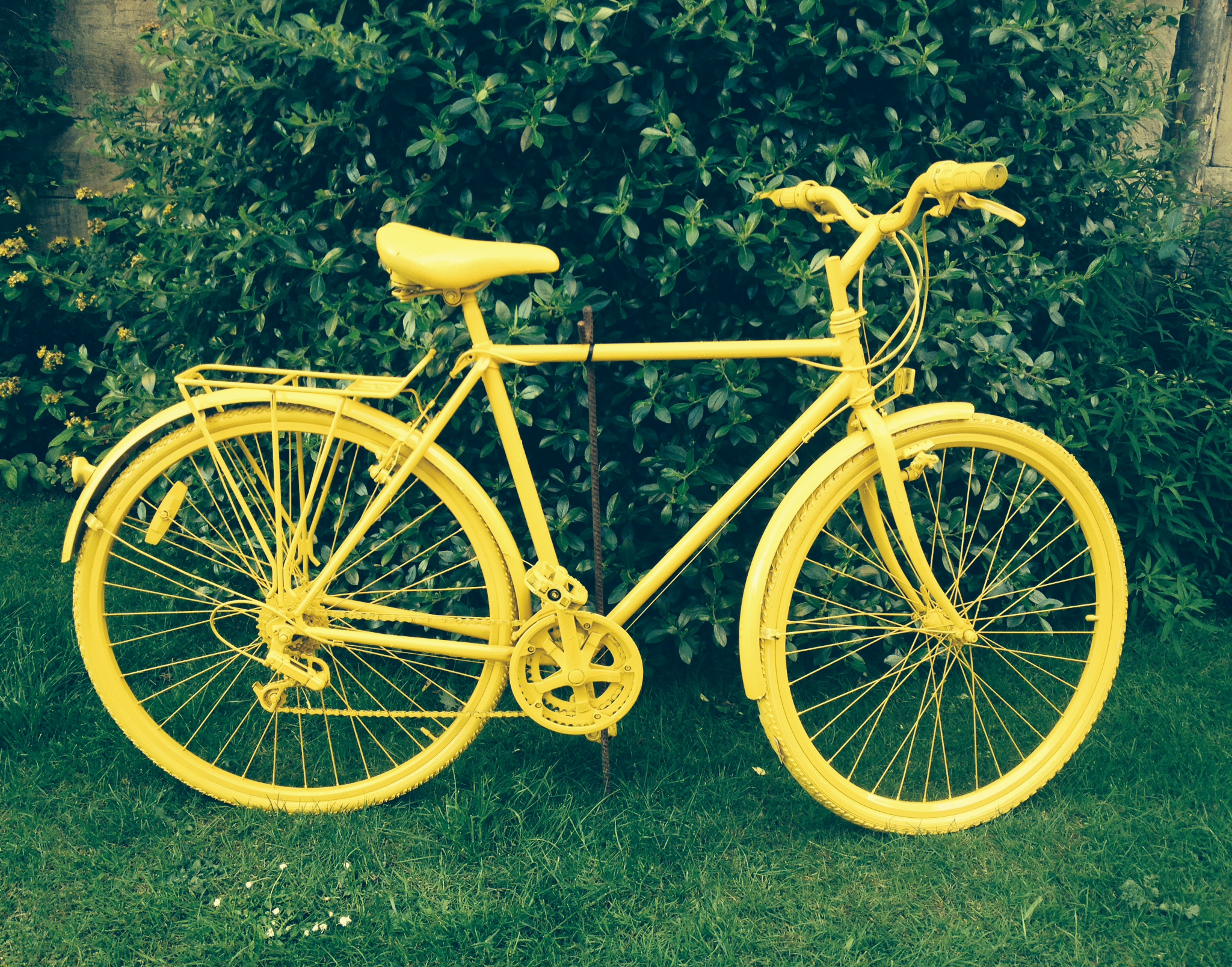 bike tour yellow
