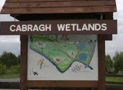 Supporting Community And Enhancing Biodiversity: A Visit To Cabragh Wetlands And Cloughjordan Ecovillage