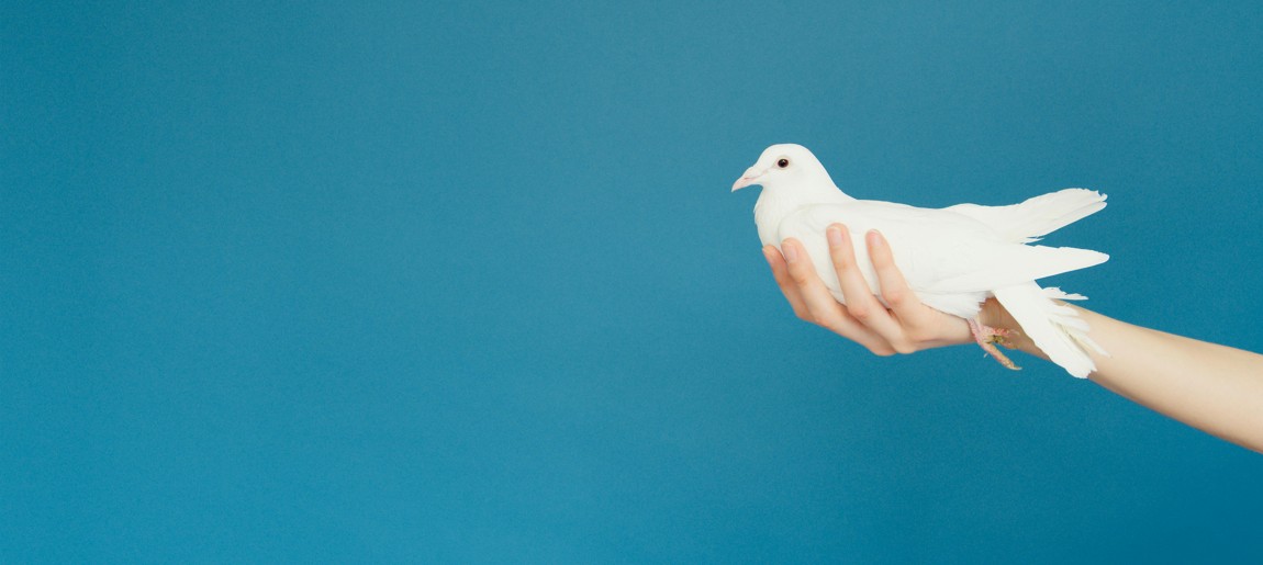  Join Us in Praying Together for Peace and Healing
