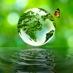 World Environment Day, 5th June
