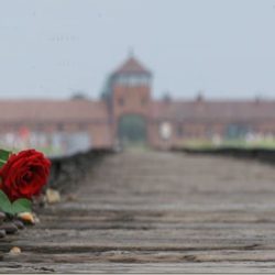 A Mercy Presence In Auschwitz, Poland