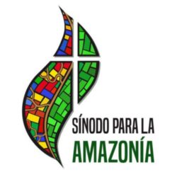 The Amazon Synod