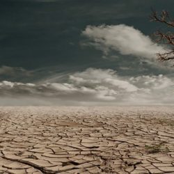 World Day To Combat Desertification And Drought – June17th