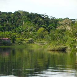 An Advent Reflection Retreat On The Amazon Synod And Its Challenges