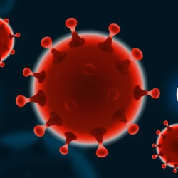 Why Coronavirus Is Humanity’s Wake-Up Call