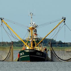 Making Fisheries Sustainable – July 1st