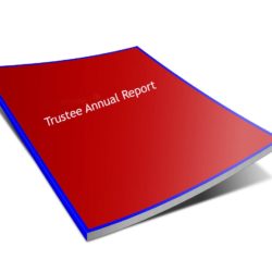 Trustee Report