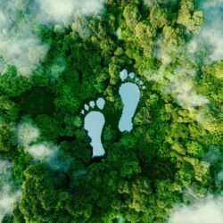 10th Anniversary Of Laudato Si’
