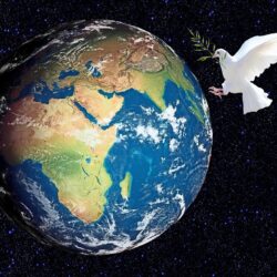 Irish Bishops Call For Prayer And Fasting For Gaza