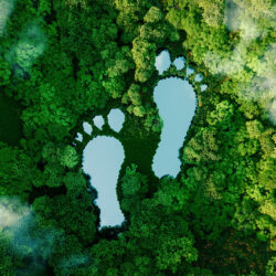 Laudato Si’ Week, 11-17 May, 2026